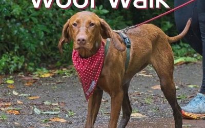 Woof Walk – 3rd October 2026